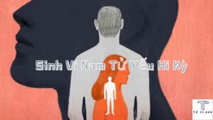 sinh vi nam tử yếu hi kì