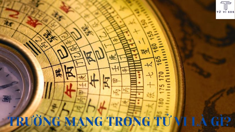 trường mạng trong tử vi là gì