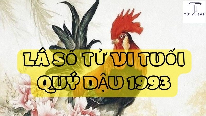 lá số tử vi tuổi quý dậu 1993