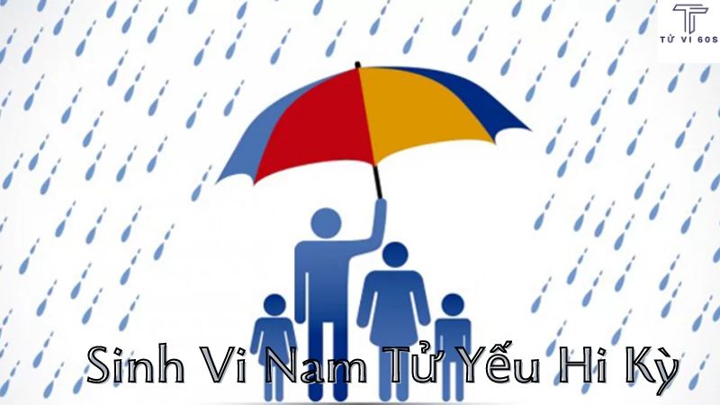 sinh vi nam tử yếu hi kì