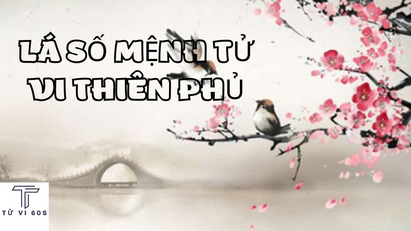 lá số mệnh tử vi thiên phủ