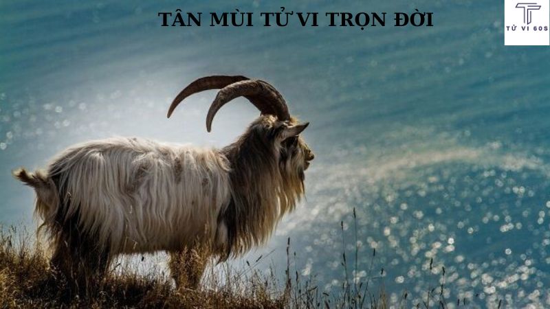 tân mùi tử vi trọn đời